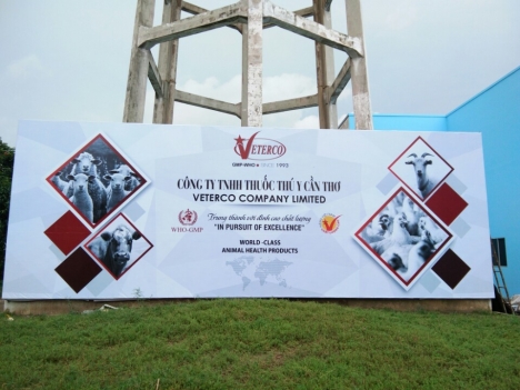 Cho thuê backdrop tại Vĩnh Long