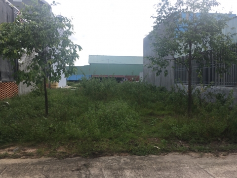 Cần ra gấp vài nền đất ngộp mỹ phước 3 và 4