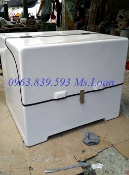 Thùng chở hàng Composite, thùng giao hàng sau xe máy có vách ngăn