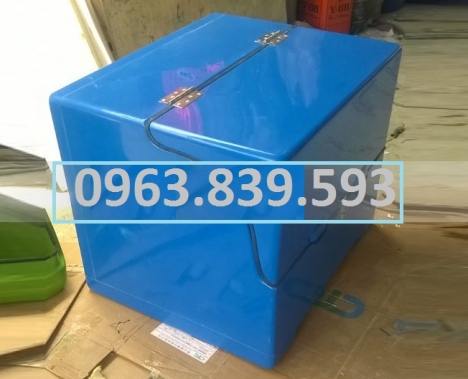 Thùng chở hàng Composite, thùng giao hàng sau xe máy có vách ngăn