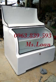 Thùng chở hàng Composite, thùng giao hàng sau xe máy có vách ngăn