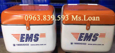 Sản xuất thùng chở hàng loại trung chở hàng sau xe máy giá rẻ