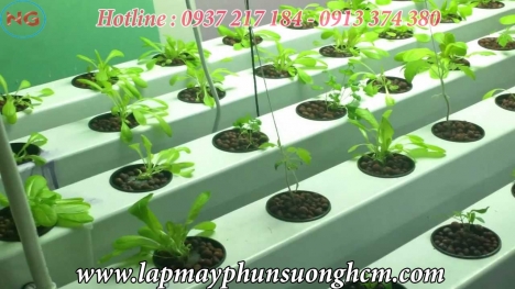 Chuyên lắp máy phun sương tại quận 5 TPHCM