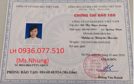 Khai giảng khóa học Thông tin Thư viện tại Đà Nẵng