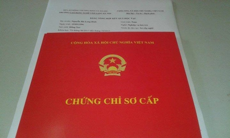 Đào tạo các khóa học văn thư lưu trữ, thông tin thư viện, buồng phòng, quản trị khách sạn