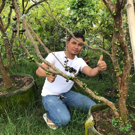 Bán Cây Cảnh , Cây Ăn Trái Ngoại Nhập