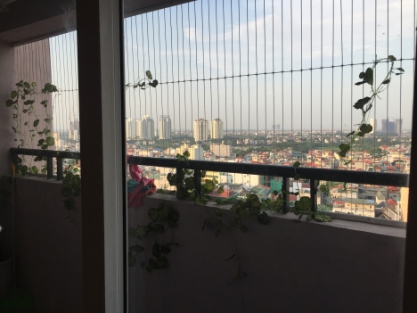 Cho thuê CHCC Tại tòa C2 Xuân Đỉnh cạnh Siêu thị HC