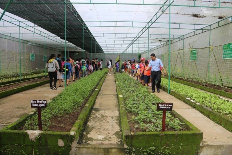 NÔNG TRẠI GIÁO DỤC GIANG ĐIỀN