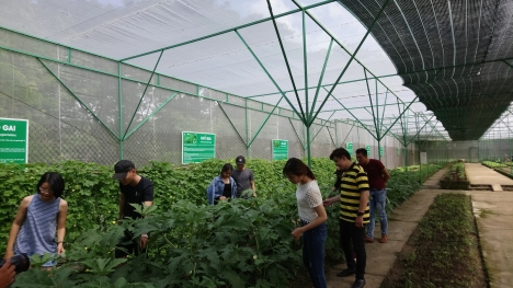 NÔNG TRẠI GIÁO DỤC GIANG ĐIỀN