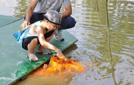 Chương Trình Lễ Quốc Khánh 2/9 Tại KDL Thác Sinh Thái Thác Giang Điền