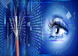 cáp mạng mềm cat.6 utp lszh patch cable horizontal