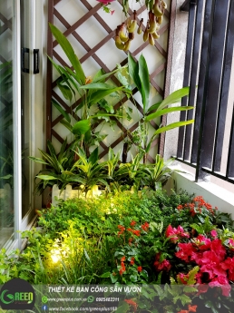 Thiết kế ban công chung cư, trồng hoa ban công sân vườn