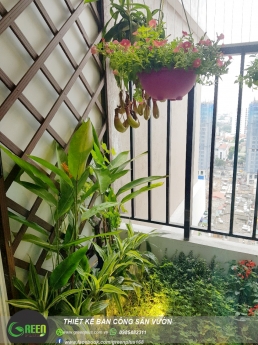 Thiết kế ban công chung cư, trồng hoa ban công sân vườn