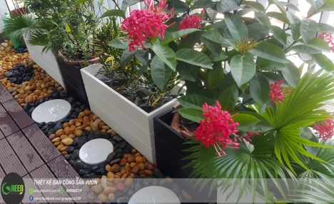 Thiết kế ban công chung cư, trồng hoa ban công sân vườn