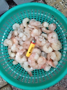 CUNG CẤP TẤT CẢ CÁC MẶT HÀNG HẢI SẢN ĐÔNG LẠNH