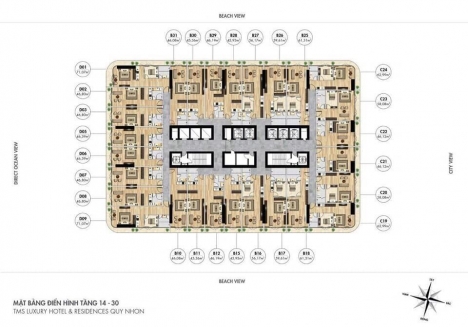 TMS LUXURY QUY NHƠN VỊ TRÍ CAO NHẤT TP QUY NHƠN