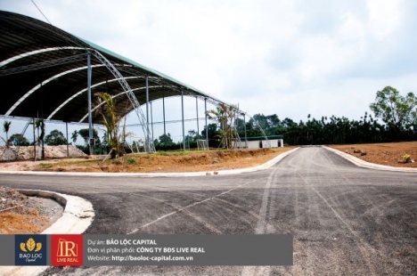 Cần bán lô đất dự án Bảo Lộc Capital, QL20, đối diện BX Đức Long, 7,5tr/m2