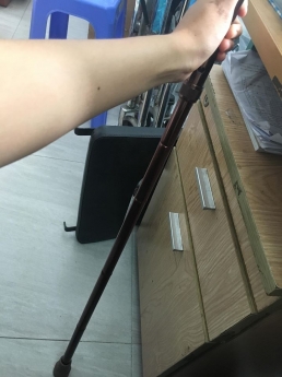 GẬY GÂP ONEX