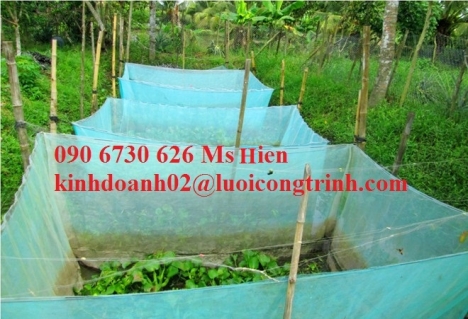 Lưới che nắng dầm nuôi tôm