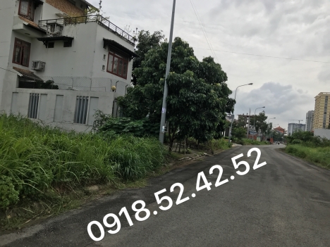 Bán đất nền KDC đông thủ thiêm, Bình Trưng Đông, Quận 2