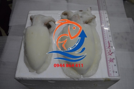 CẦN TÌM NGUỒN KHÁCH SỈ CHO CÁC MẶT HÀNG HẢI SẢN CẤP ĐÔNG