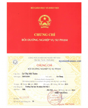 Đào tạo nghiệp vụ sư phạm cấp chứng chỉ
