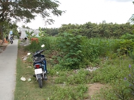 Đất mặt tiền đg dall gần chợ cầu đg chừa TP Vinhlong