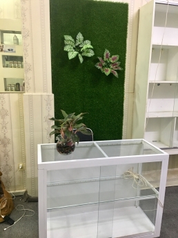Cỏ Nhân Tạo Trang Trí Nhà Cửa, SPA, Sự Kiện