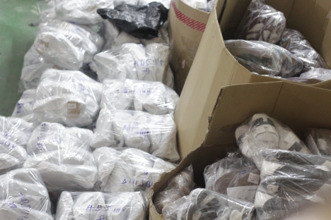 xưởng giày nữ bình chánh