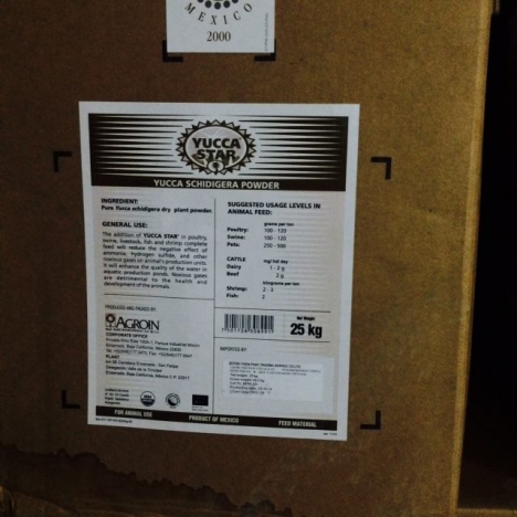 YUCCA HẤP THỤ KHÍ ĐỘC