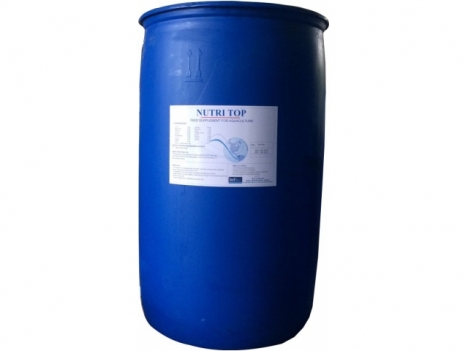 TĂNG TRONG ACID AMIN - NUTRITOP