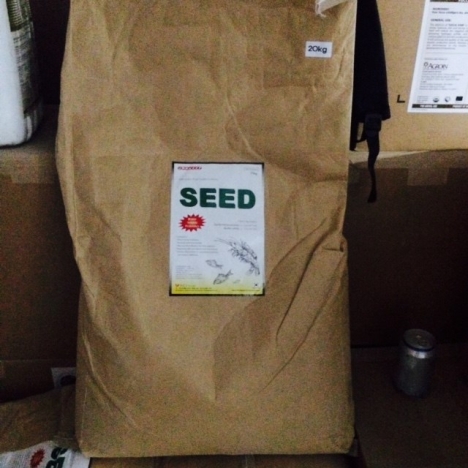 MEN VI SINH ĐƯỜNG RUỘT MEN SEED