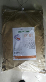 ENZYME TĂNG TRONG BIOZYME