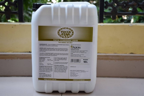 YUCCA HẤP THỤ KHÍ ĐỘC