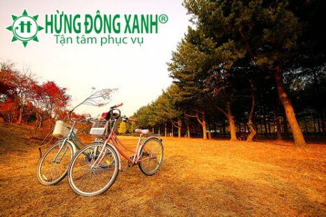 TOUR DU LỊCH HÀN QUỐC TRỌN GÓI 4N4Đ