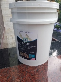 Men vi sinh xử lý đáy ao Biopro