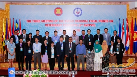 Tổ Chức HN Quốc Tế