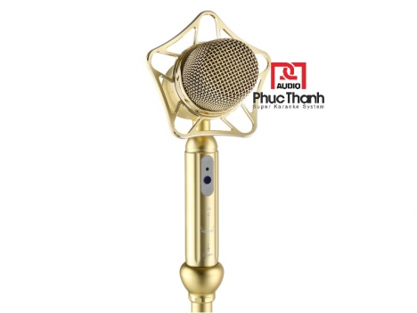 MICRO ĐỨNG CHO KARAOKE CHUYÊN NGHIỆP LINGRUI YR-W