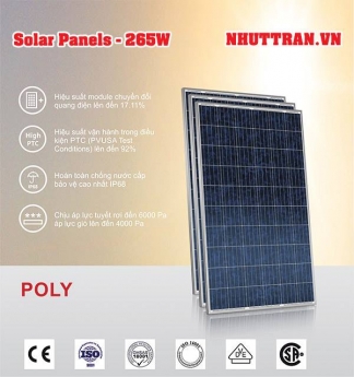 Tấm Pin Năng Lượng Mặt Trời 265W Poly