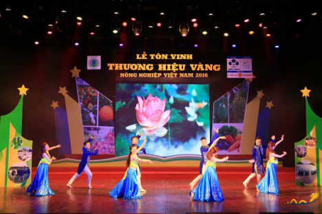 Tổ chức chương trình nghệ thuật