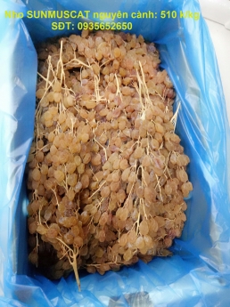 NHO KHÔ NGUYÊN CÀNH ÚC - CRIMSON, SULTANA, SUNMUSCAT