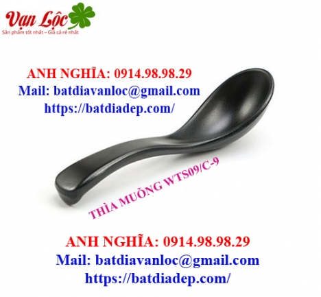 Bán muỗng Melamine lẩu nướng BBQ