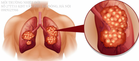 XỬ LÝ HƠI AXETON TỪ QUÁ TRÌNH TINH CHẾ DUNG MÔI HIỆU QUẢ