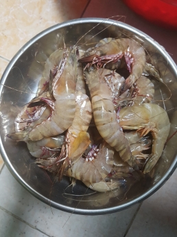 bán chả cốm, chả cá Hà nội và hải sản sạch Phú Quốc