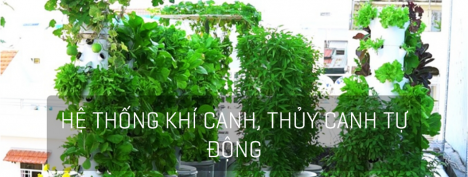 Cung cấp lắp đặt hệ thống khí canh, thuỷ canh, tưới nước phun sương tự động Lào Cai