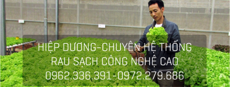 Cung cấp lắp đặt hệ thống khí canh, thuỷ canh, tưới nước phun sương tự động Lào Cai