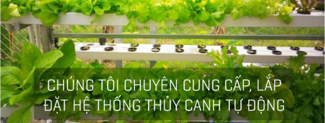 Cung cấp lắp đặt hệ thống khí canh, thuỷ canh, tưới nước phun sương tự động Lào Cai