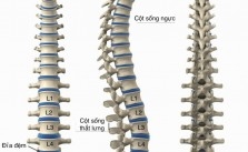 Dịch vụ y học cổ truyển tại nhà