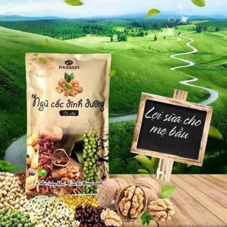 Ngũ cốc óc chó lợi sữa