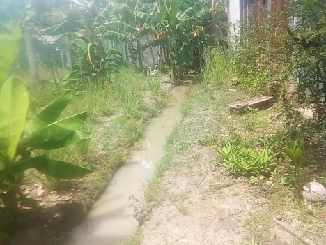 nhà đất thổ cư